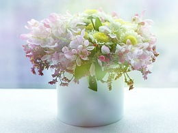 隨影舞動(dòng) ZCOOL設(shè)計(jì)師的花卉藝術(shù)探索