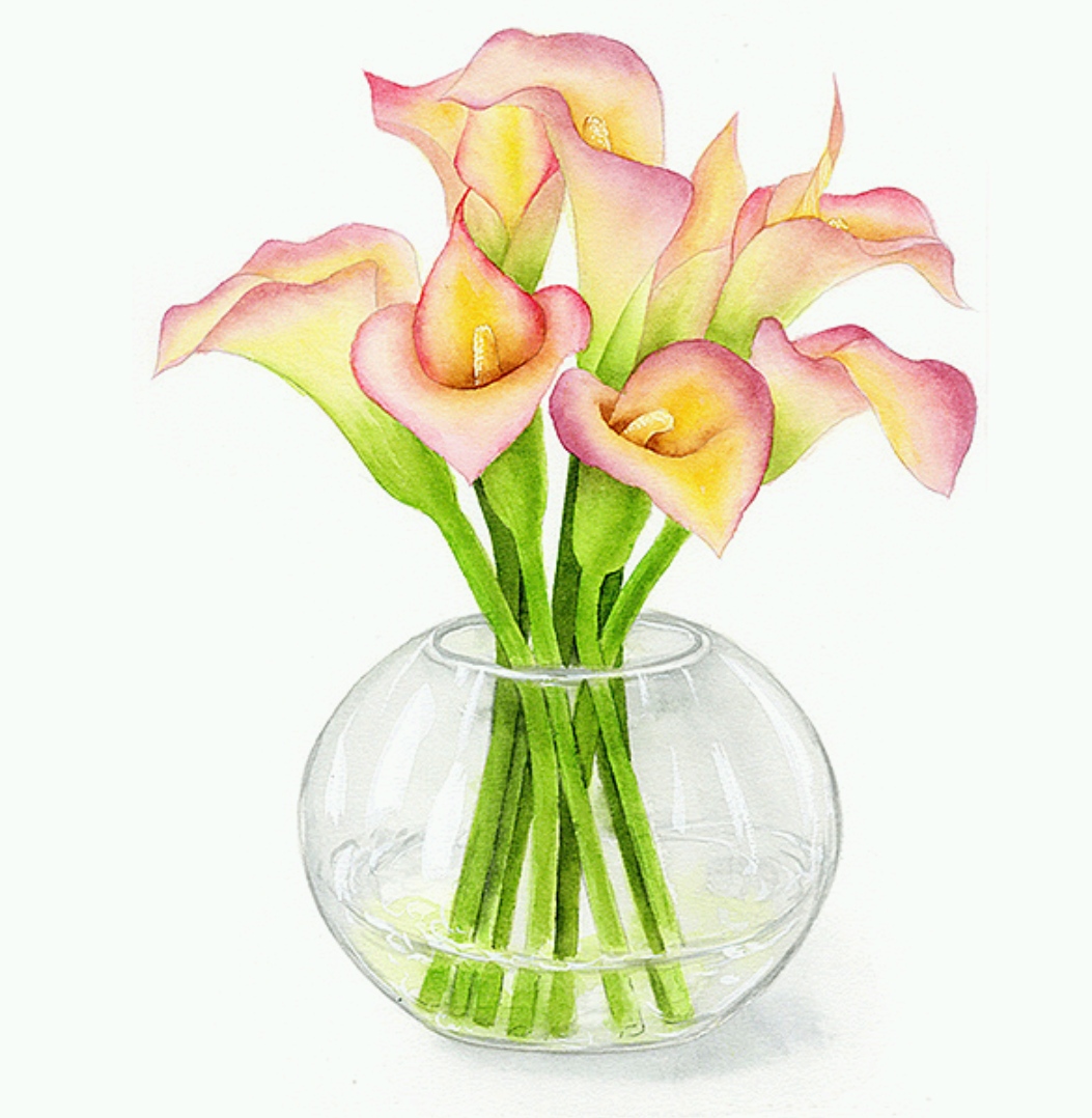 董搞搞水彩作品 馬蹄蓮與水果的清新對(duì)話