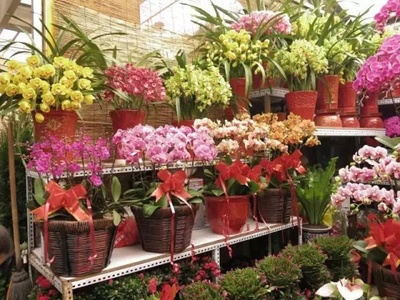 鎮(zhèn)江這20個(gè)“之最”，知道一半以上才算是老鎮(zhèn)江人！