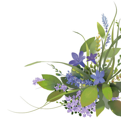 兔子的果園 插畫藝術與花卉包裝的商業邂逅